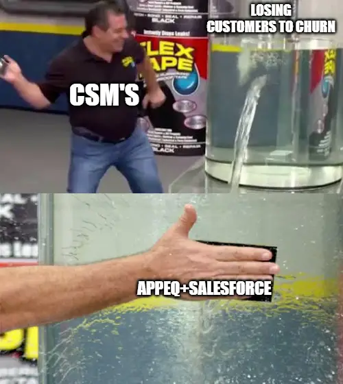 Salesforce for CS Using Salesforce for customer success
(AppEQ)