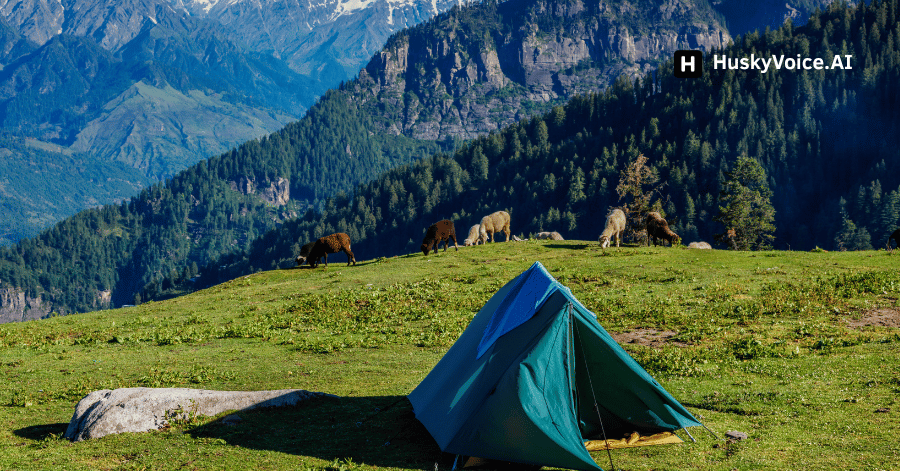 🧳 Travel &#038; Consumers: How to Use a Real-Time Translator in India Without Installing an App